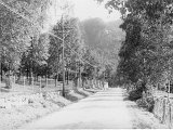 Riksvegen ved Lundgensporten ca 1950.jpg